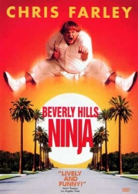 Beverly Hills Ninja