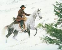 Pale Rider