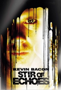 Stir of Echoes