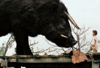 Beasts of the Southern Wild